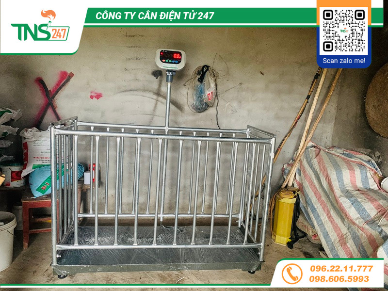 dau-can-dien-tu-HP-W501-gia-tot-tai-ha-noi