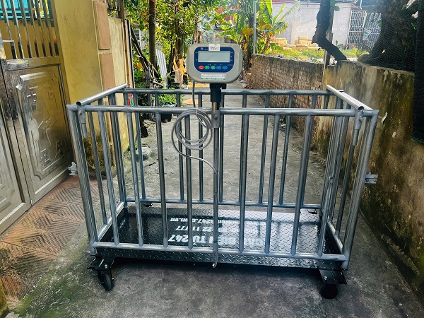 can-long-heo-hp-500-kg-uy-tin-gia-tot-nhat-ha-noi