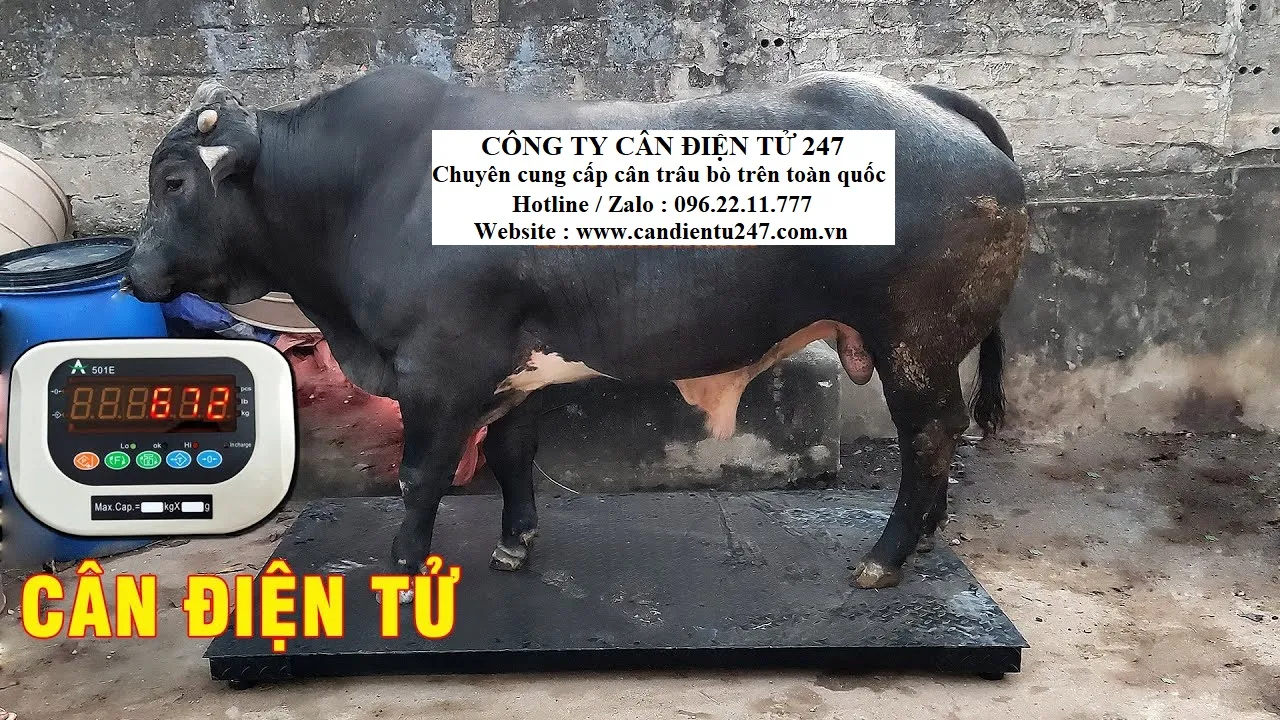 can-trau-bo-dien-tu-1-tan-gia-bao-nhieu
